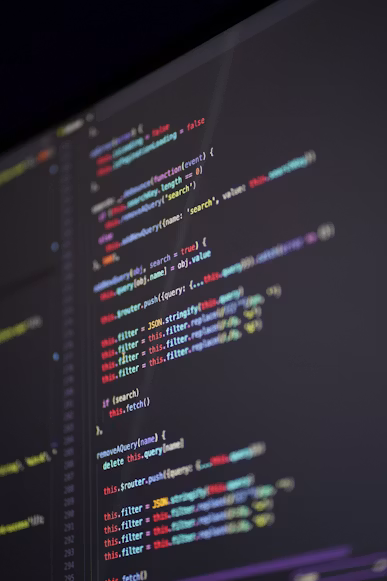 Software development